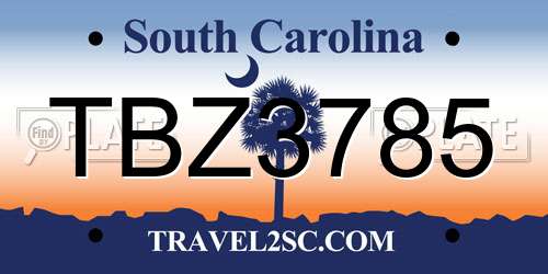 TBZ3785 South Carolina License Plate