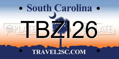 TBZI26 South Carolina License Plate