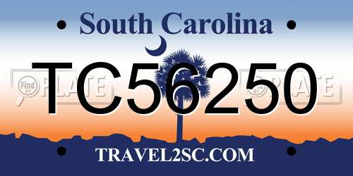 TC56250 South Carolina License Plate