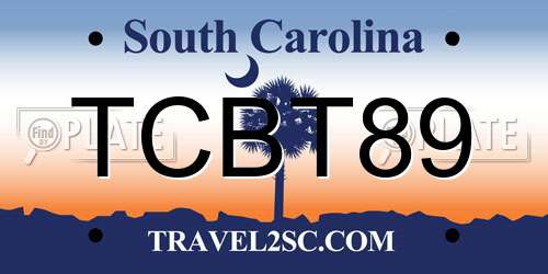 TCBT89 South Carolina License Plate