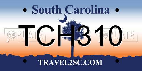 TCH310 South Carolina License Plate