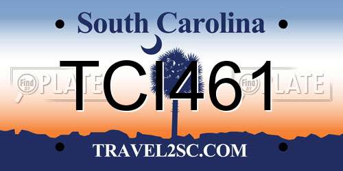 TCI461 South Carolina License Plate
