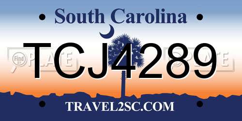 TCJ4289 South Carolina License Plate