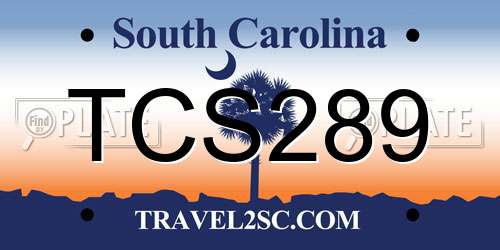 TCS289 South Carolina License Plate