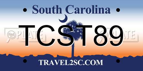 TCST89 South Carolina License Plate