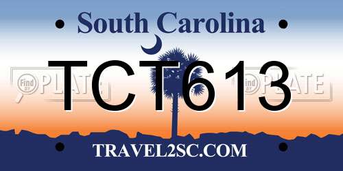 TCT613 South Carolina License Plate