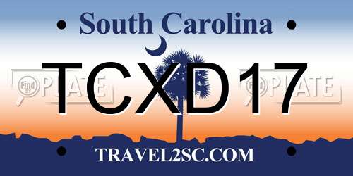 TCXD17 South Carolina License Plate
