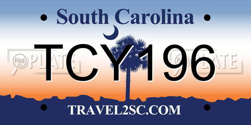 TCY196 South Carolina License Plate