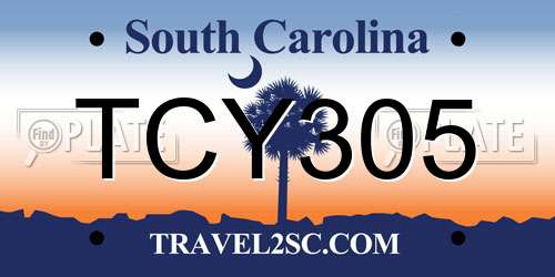 TCY305 South Carolina License Plate