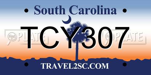 TCY307 South Carolina License Plate