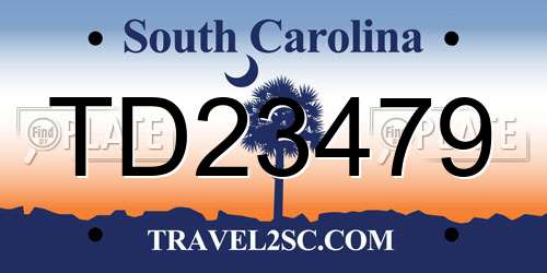 TD23479 South Carolina License Plate