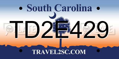 TD2E429 South Carolina License Plate