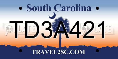 TD3A421 South Carolina License Plate