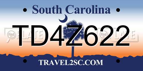 TD4Z622 South Carolina License Plate