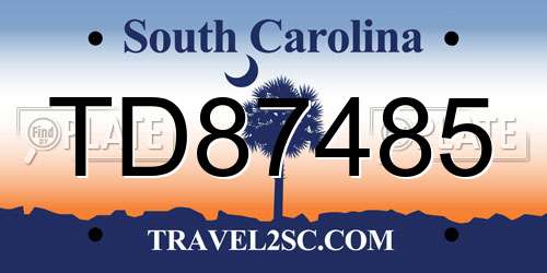 TD87485 South Carolina License Plate