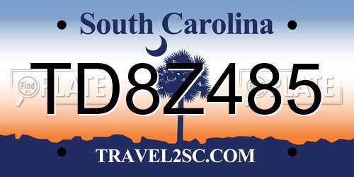 TD8Z485 South Carolina License Plate