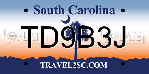 TD9B3J South Carolina License Plate
