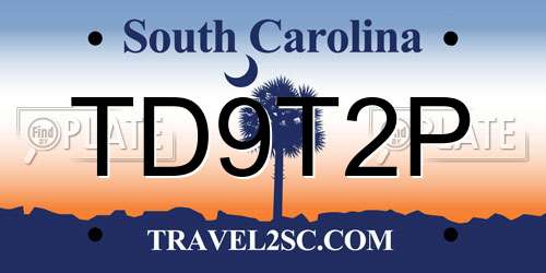 TD9T2P South Carolina License Plate