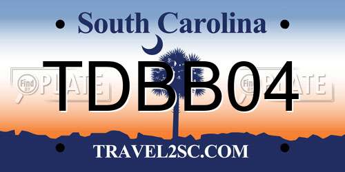 TDBB04 South Carolina License Plate