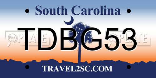TDBG53 South Carolina License Plate