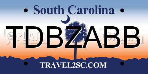 TDBZABB South Carolina License Plate