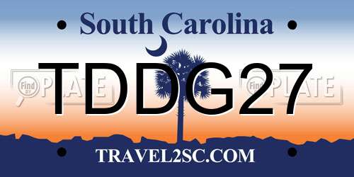 TDDG27 South Carolina License Plate