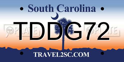 TDDG72 South Carolina License Plate