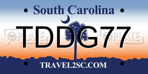 TDDG77 South Carolina License Plate