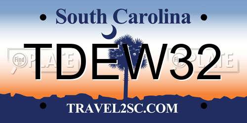 TDEW32 South Carolina License Plate