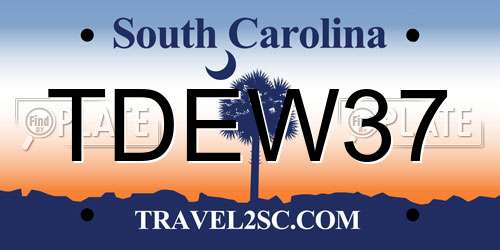 TDEW37 South Carolina License Plate