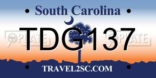 TDG137 South Carolina License Plate