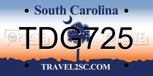 TDG725 South Carolina License Plate