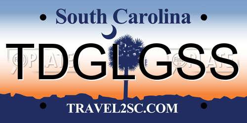 TDGLGSS South Carolina License Plate