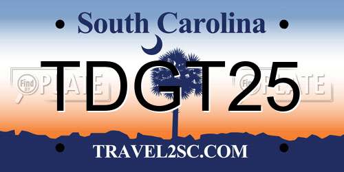 TDGT25 South Carolina License Plate