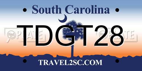 TDGT28 South Carolina License Plate