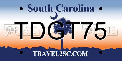 TDGT75 South Carolina License Plate