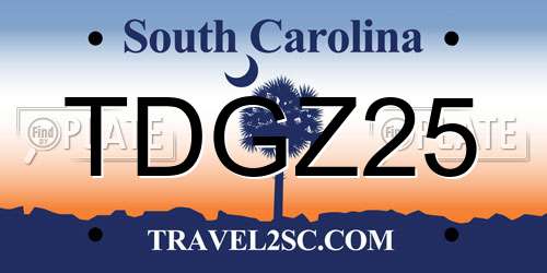 TDGZ25 South Carolina License Plate