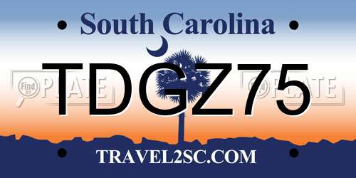 TDGZ75 South Carolina License Plate