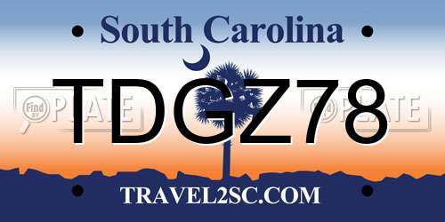 TDGZ78 South Carolina License Plate