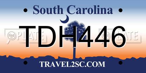 TDH446 South Carolina License Plate