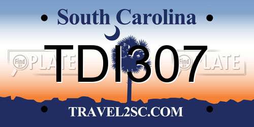TDI307 South Carolina License Plate