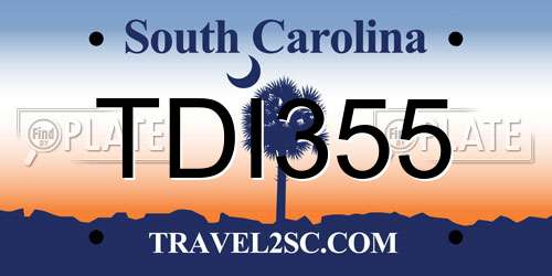 TDI355 South Carolina License Plate