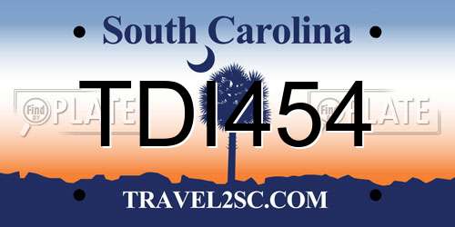 TDI454 South Carolina License Plate