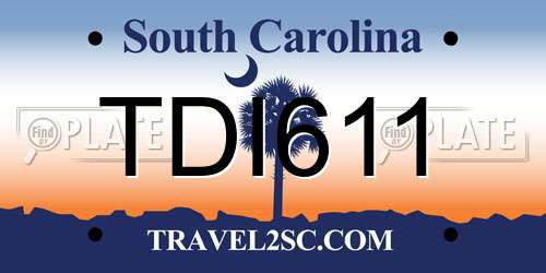 TDI611 South Carolina License Plate