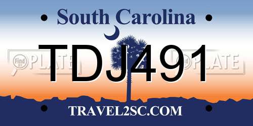 TDJ491 South Carolina License Plate