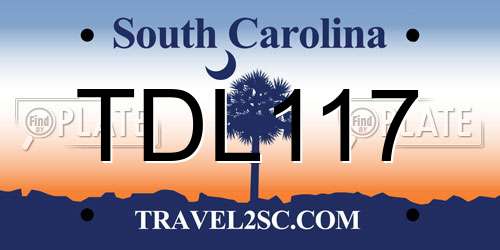 TDL117 South Carolina License Plate