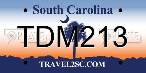TDM213 South Carolina License Plate