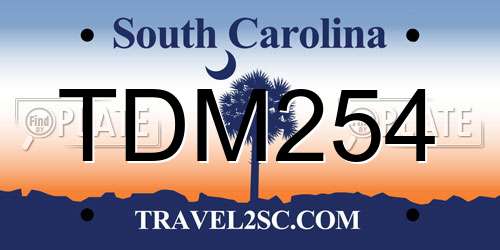 TDM254 South Carolina License Plate
