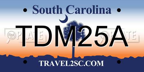 TDM25A South Carolina License Plate