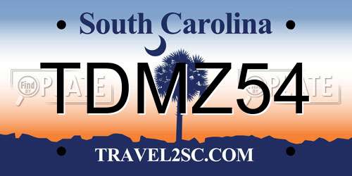 TDMZ54 South Carolina License Plate